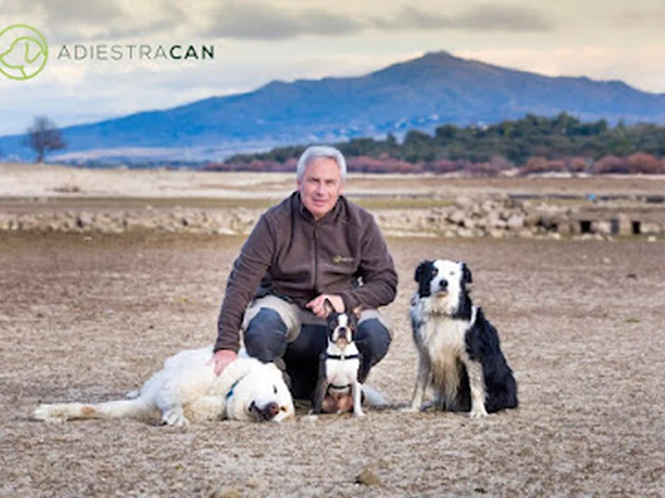 ADIESTRACAN | Adiestrador de perros en Madrid