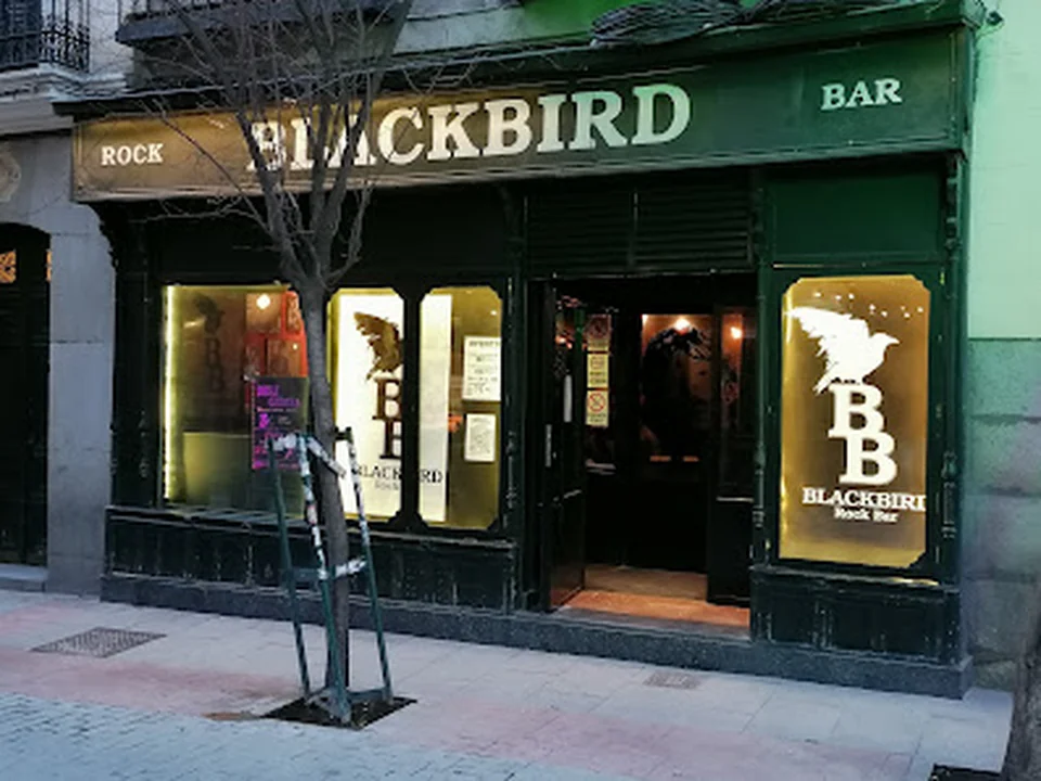 Blackbird
