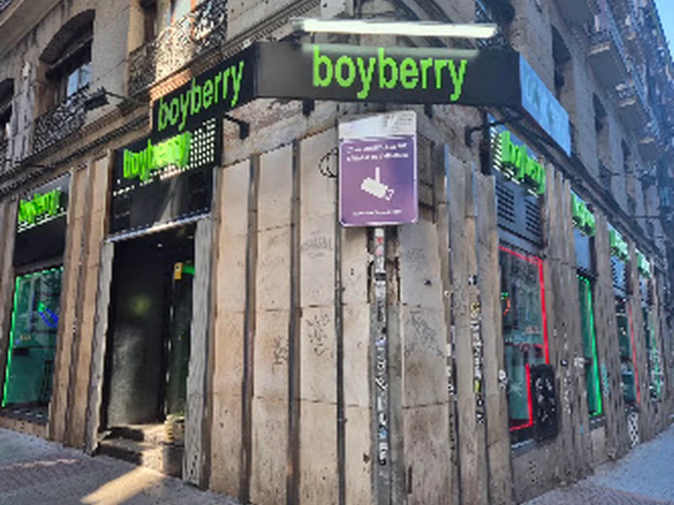 Boyberry Madrid