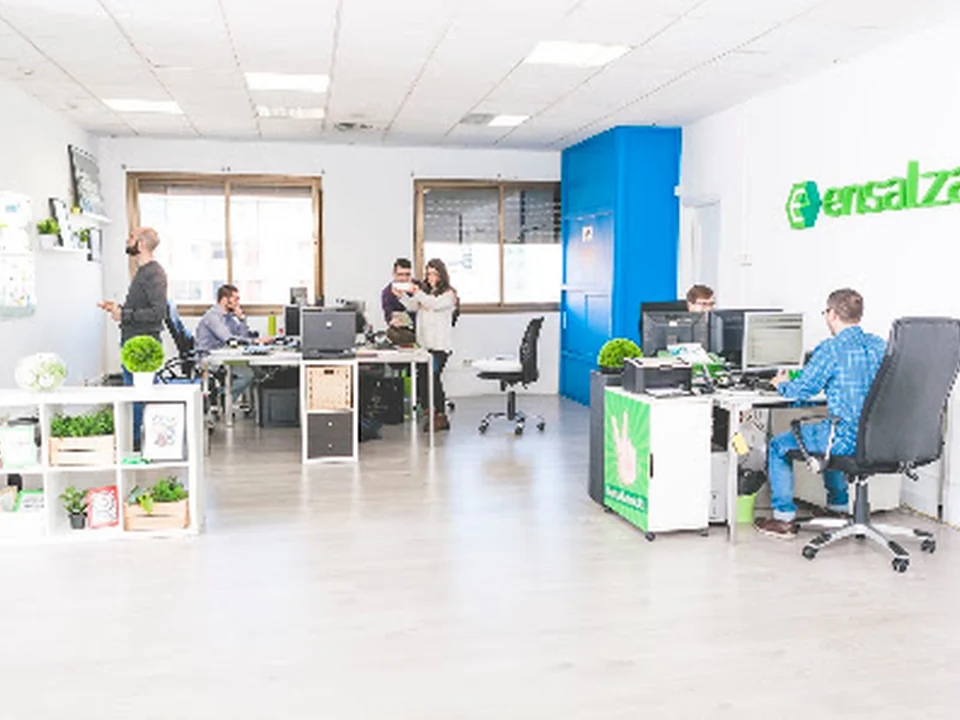 Ensalza: Desarrollo y Diseño web en Madrid