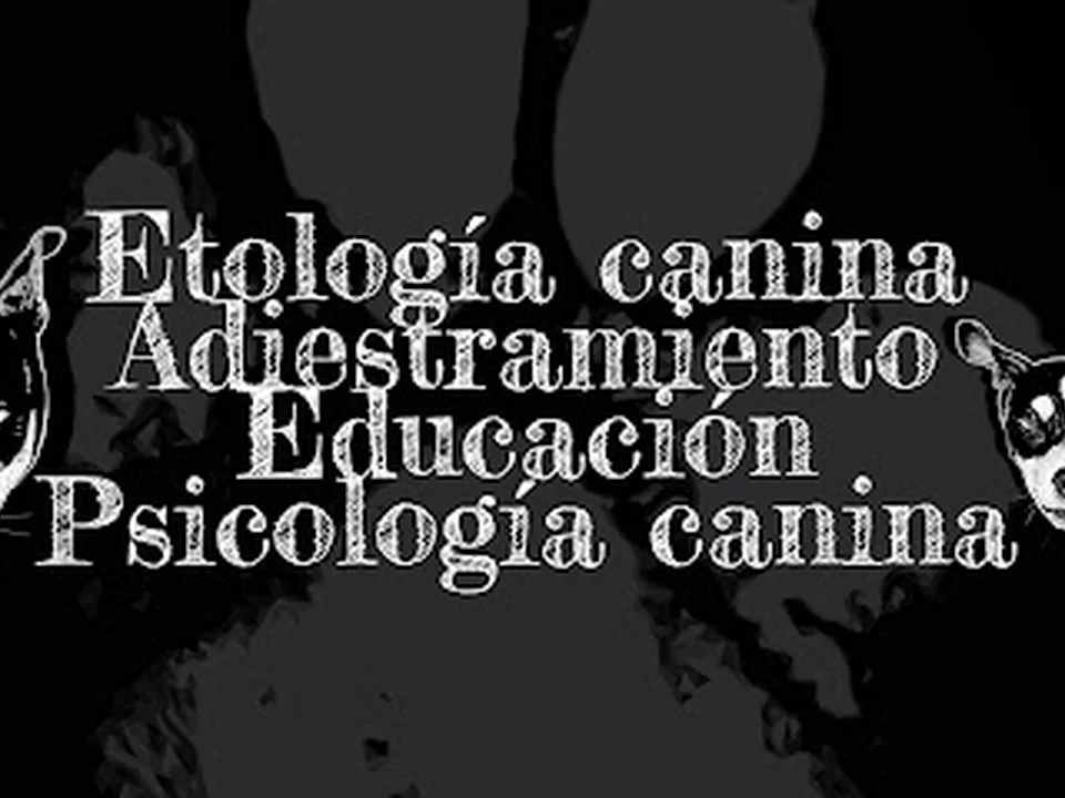 Etólogo canino Eduardo Rodríguez