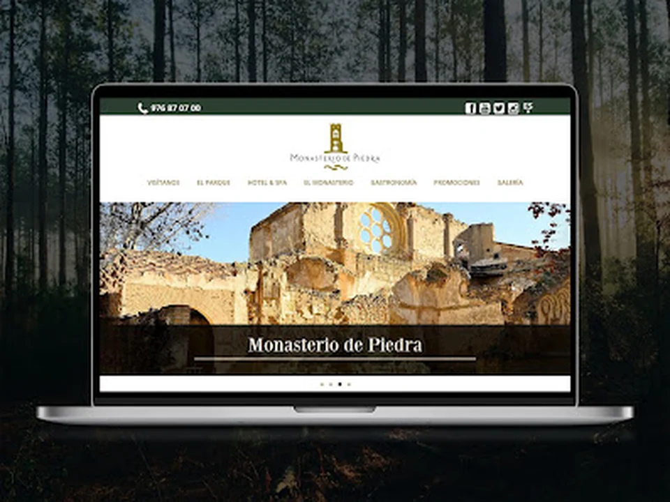 Fénix Byte | Agencia diseño web Madrid