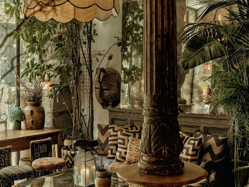 Foto de Ficus Bar