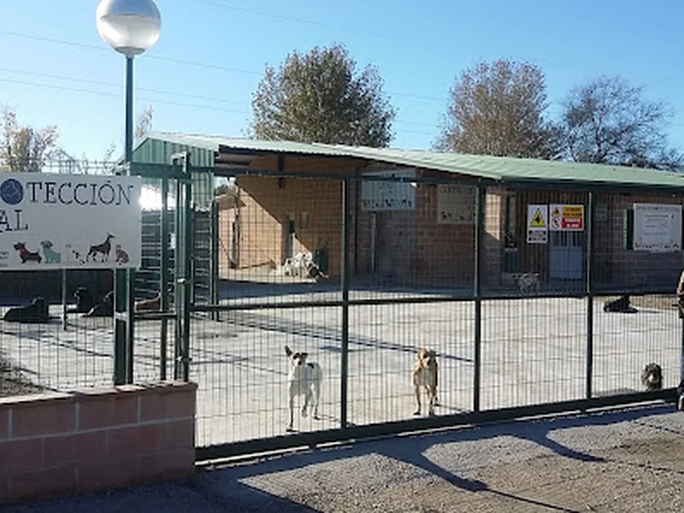 Centro de Proteccion Animal - CPA de Getafe, Madrid