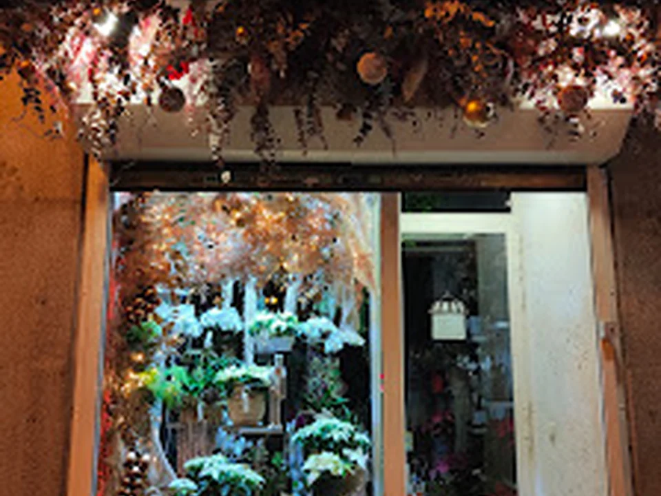 Ainara Floristas, Madrid