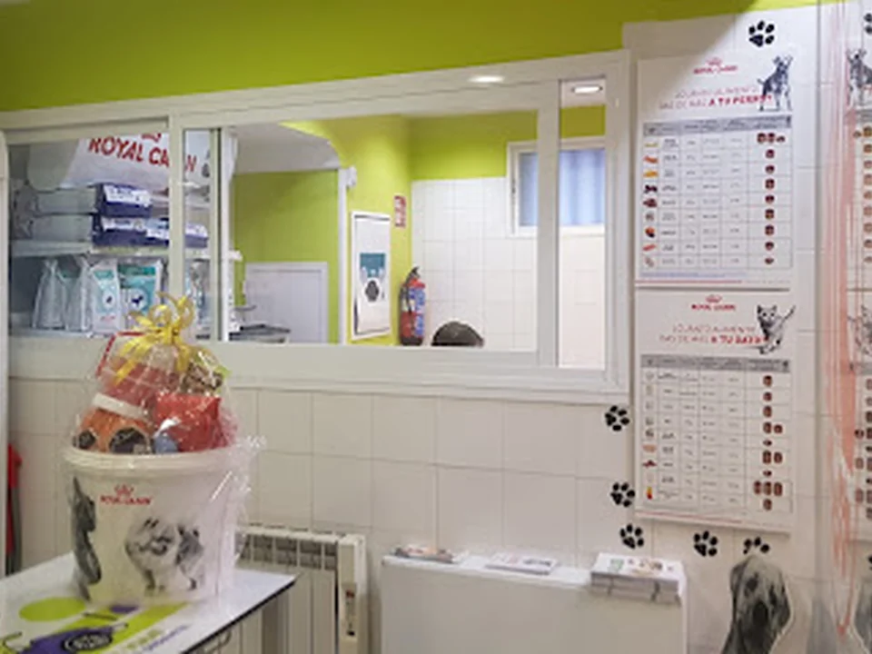 Sociedad Protectora de Animales y Plantas (SPAP), Madrid