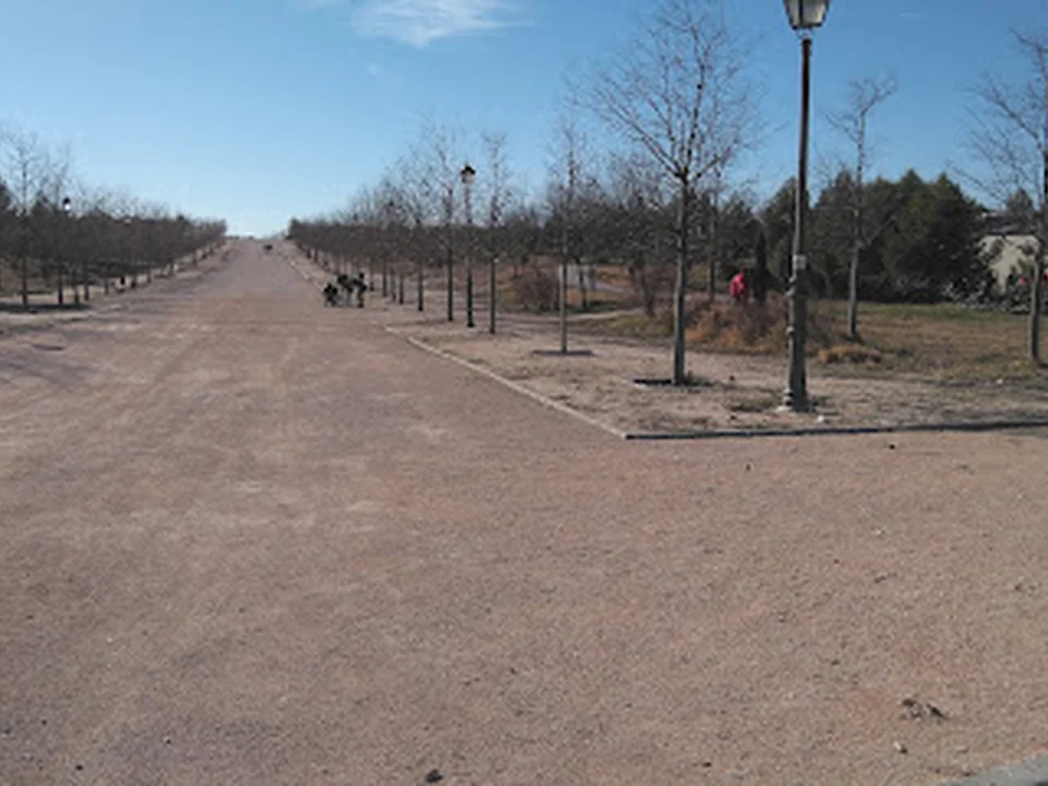 Asociación Protectora de Animales La Madrileña, Madrid