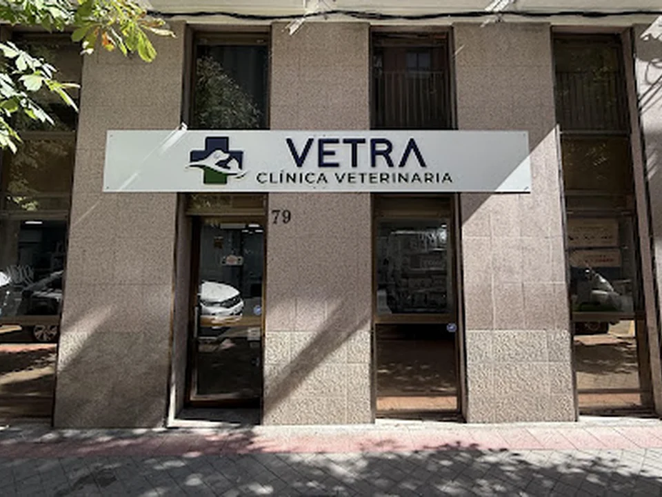 VETRA Clinica Veterinaria, Madrid