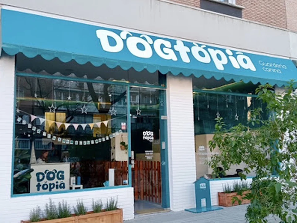 Dogtopia, Madrid