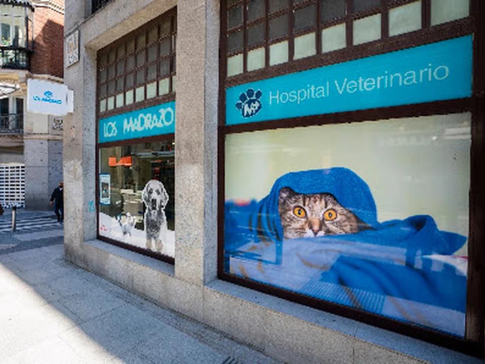 Hospital Veterinario Los Madrazo, Madrid