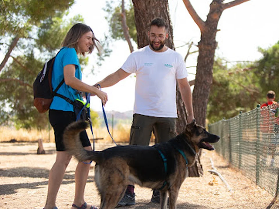 Kawana Centro Canino, Madrid
