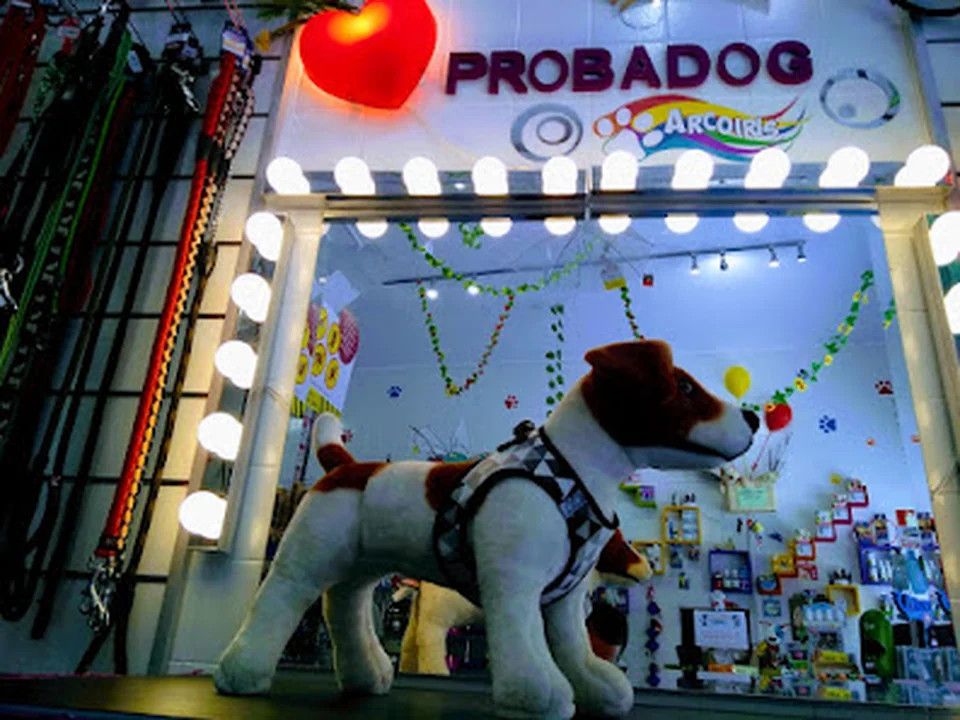 Arcoíris Mascotas, Madrid
