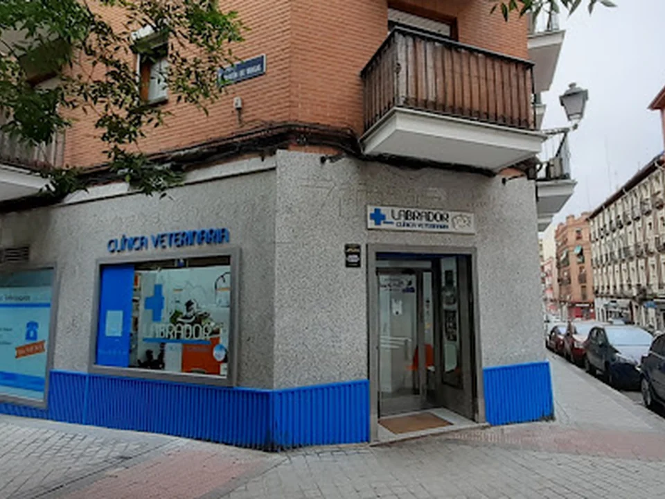Clínica Veterinaria Labrador, Madrid