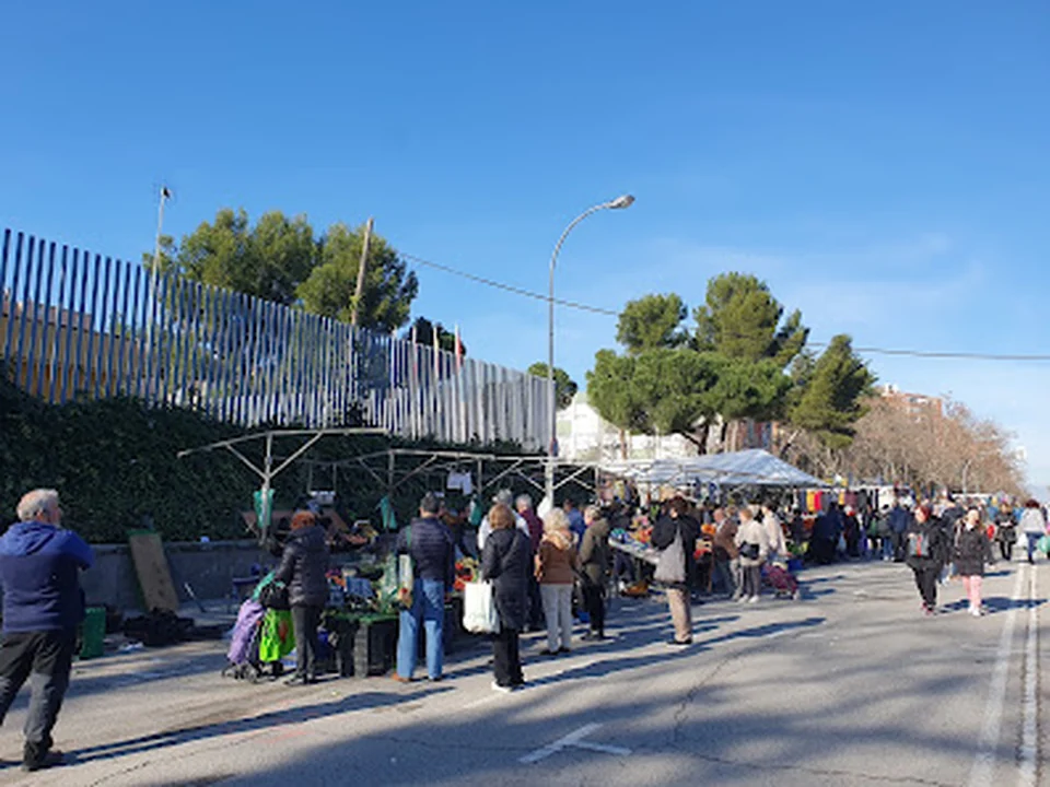 Mercadillo de San Blas-Las Rosas, Madrid