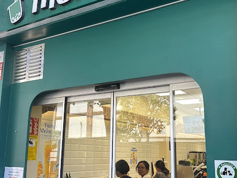 MOMO BUBBLE TEA Bebidas de Té con Leche y Perlas de Tapioca, Madrid