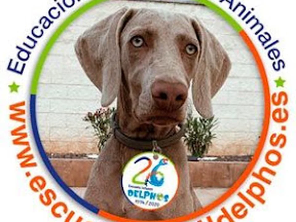 DELPHOS - Escuela Infantil Guardería en Madrid Ciudad Lineal