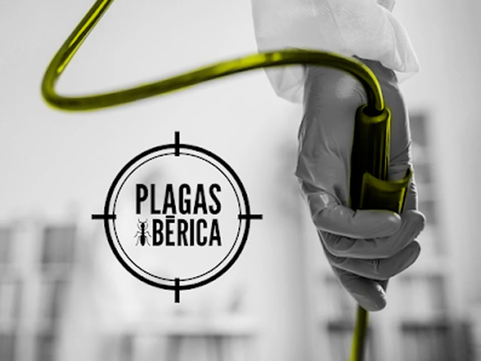Plagas Ibérica, Madrid