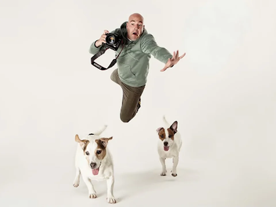 El Fotógrafo de Perros, Madrid