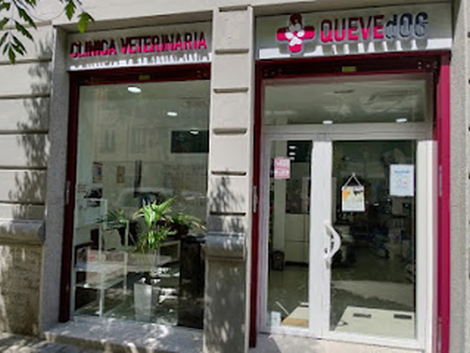 Clínica Veterinaria Quevedog, Madrid