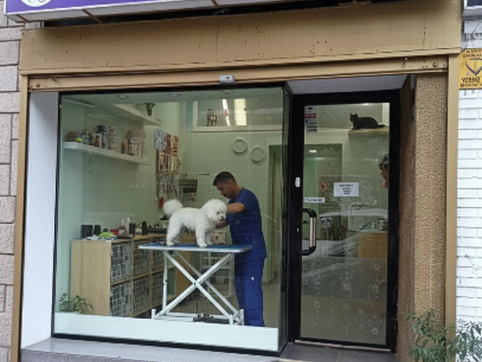 Peluquería Felina y Canina Mix Peludos, Madrid
