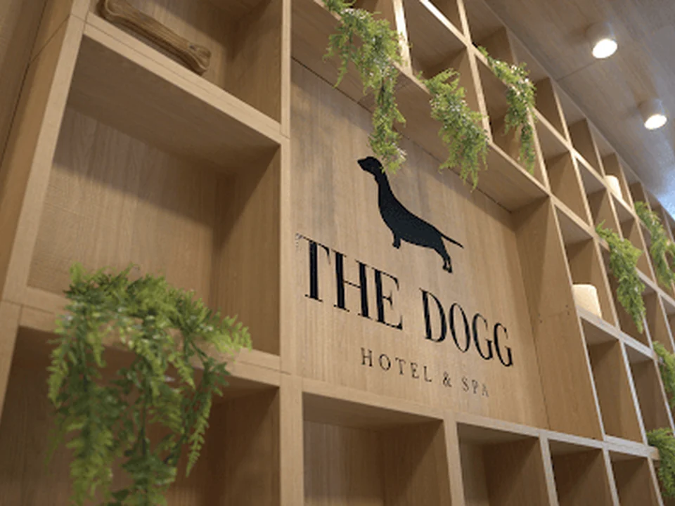 The Dogg Hotel & Spa, Madrid
