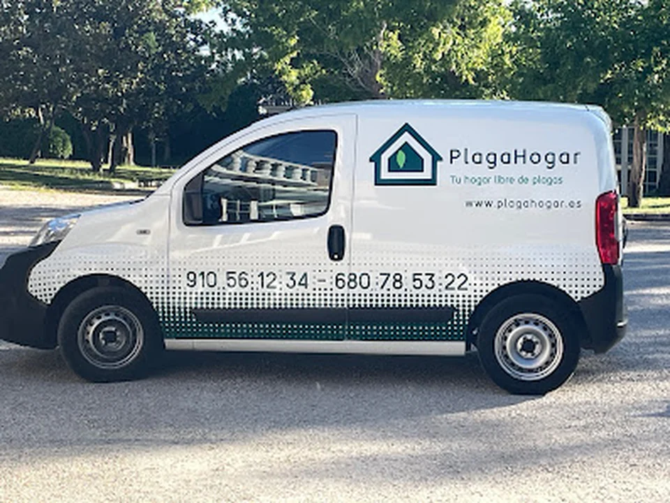 PlagaHogar, Madrid