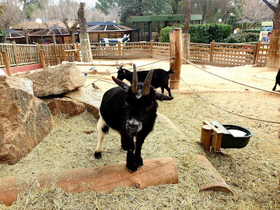Animales de la Granja, Madrid