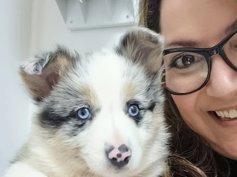 Mascotiti Hospital Veterinario Ciudad Lineal – Urgencias 24h, Madrid