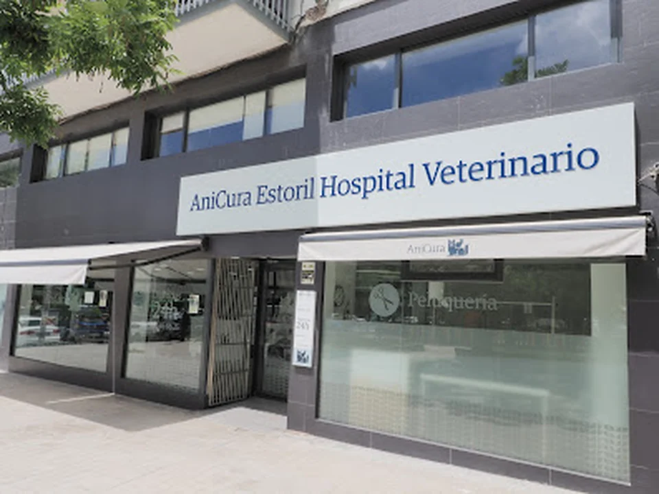 AniCura Estoril Hospital Veterinario | Urgencias 24h, Madrid