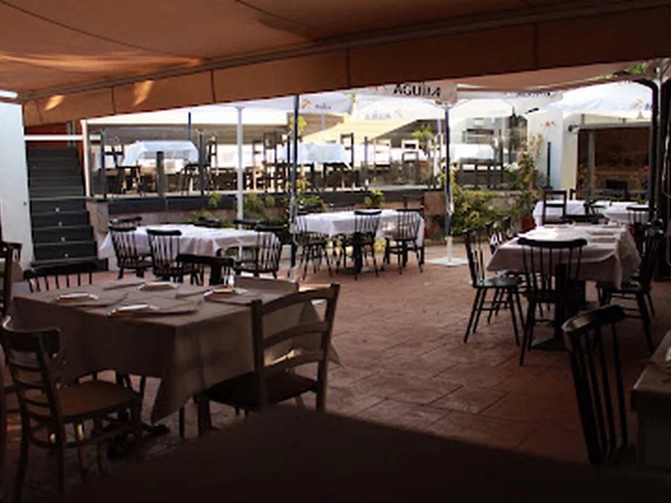 La Terraza del camping, Madrid