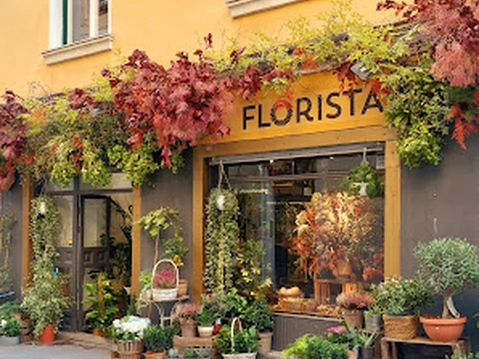 El florista, Madrid