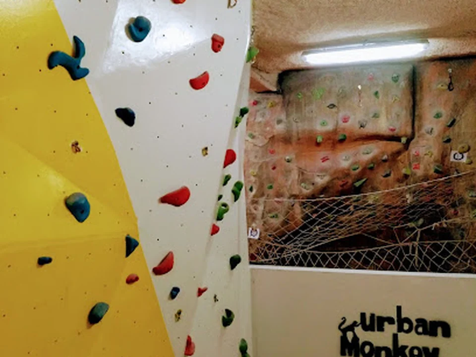 Rocódromo Urban Monkey - Madrid