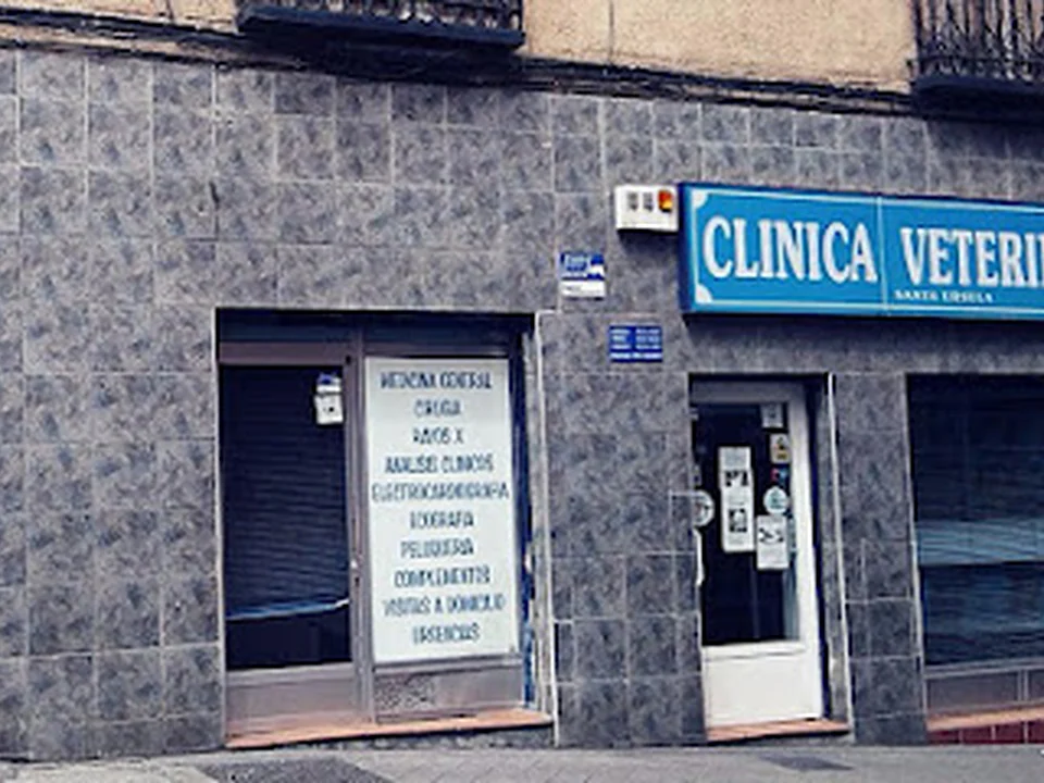Clínica Veterinaria Santa Úrsula, Madrid