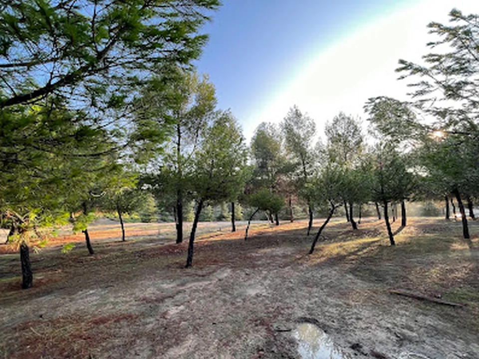 Parque canino, Madrid