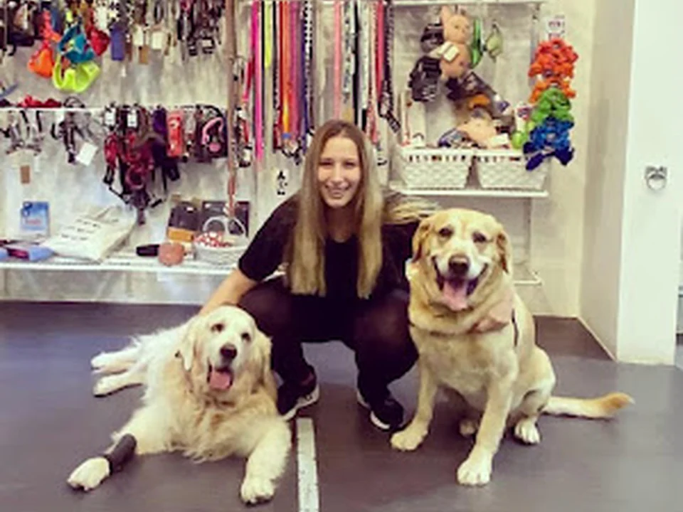 Día de Perros - Peluquería canina en Madrid