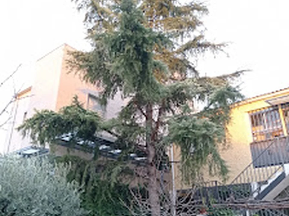 Tu Jardín Madrid