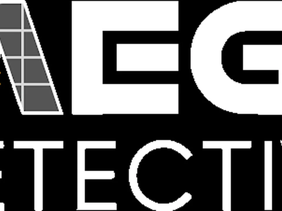GRUPO MEGA DETECTIVES, Madrid