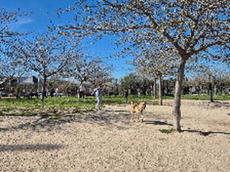 Área canina, Madrid
