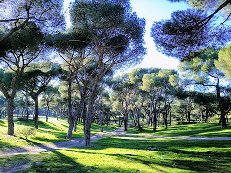 Parque Dehesa de la Villa, Madrid