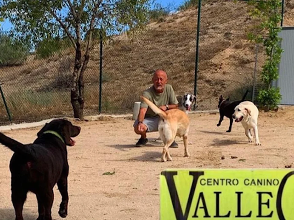 Centro Canino Vallecan, Madrid