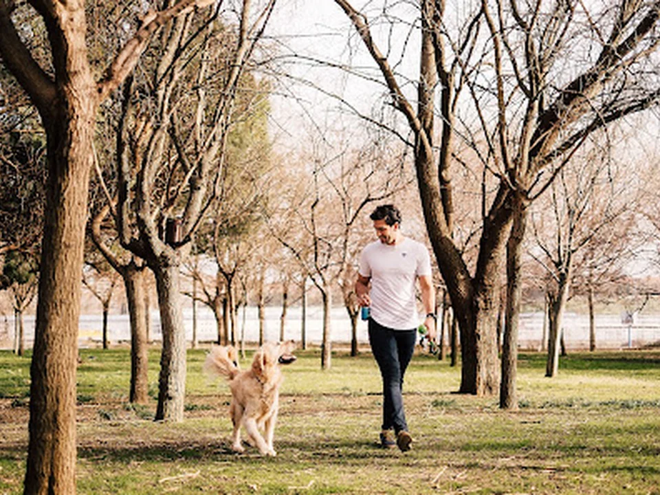 Paseadogs - Paseo/Adiestramiento/Alojamiento, Madrid