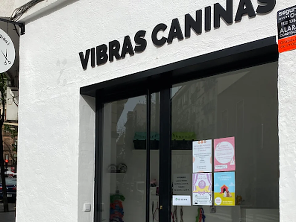 Vibras Caninas, Madrid