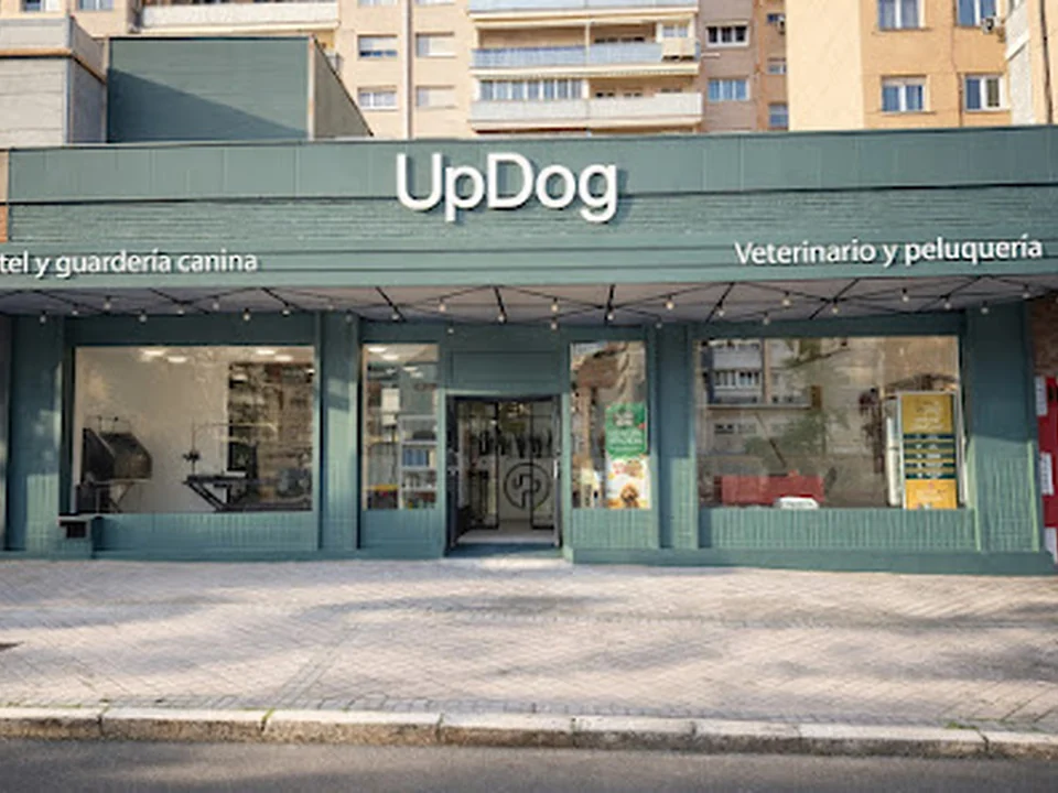UpDog Hotel y Guardería Canina, Madrid