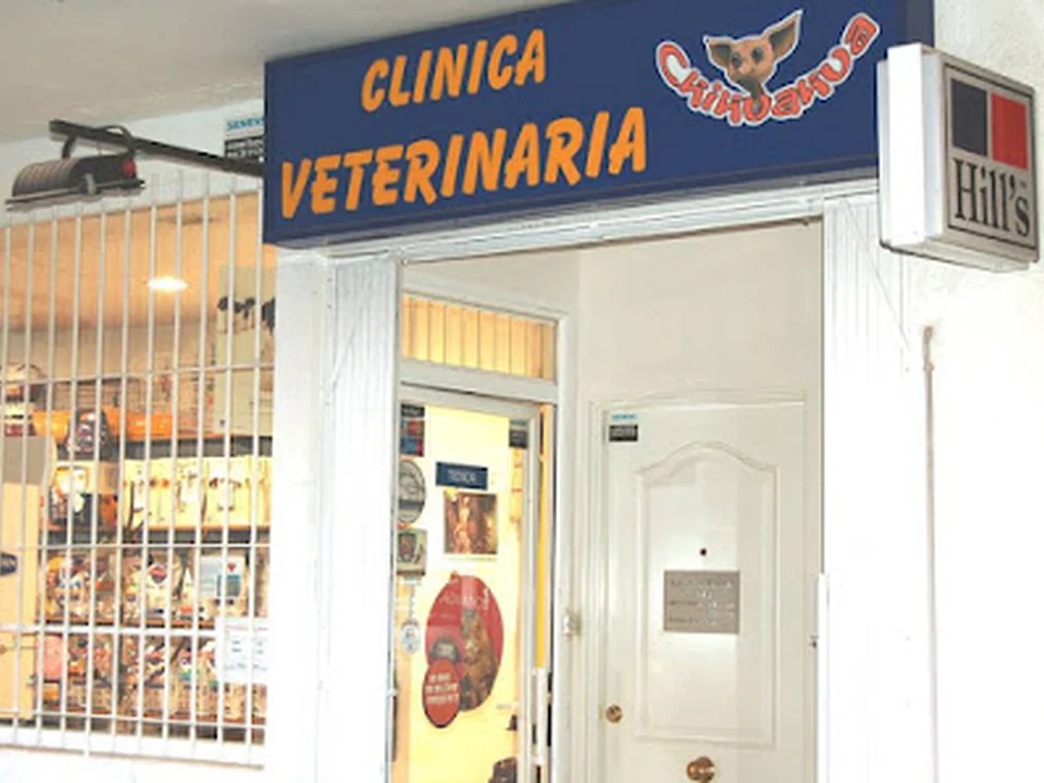 Clínica Veterinaria Chihuahua Tetuán Madrid