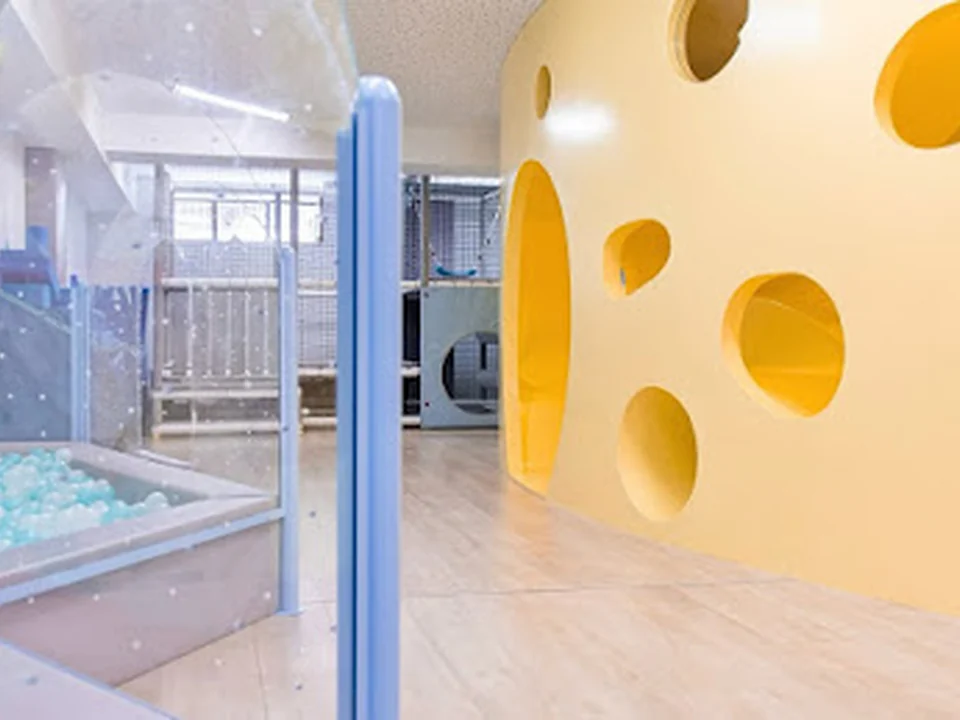Columpio Playground, Madrid