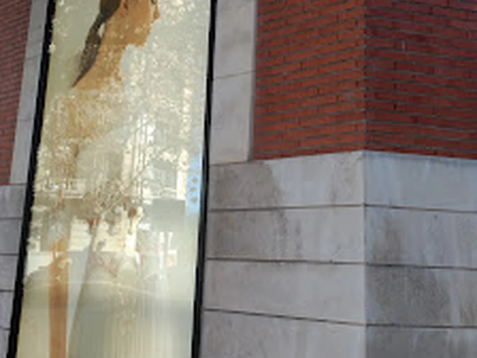 Rosa Clará, Madrid