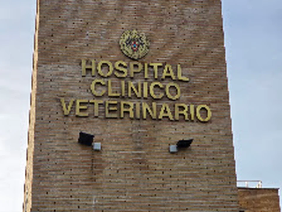 Hospital Clínico Veterinario Complutense, Madrid