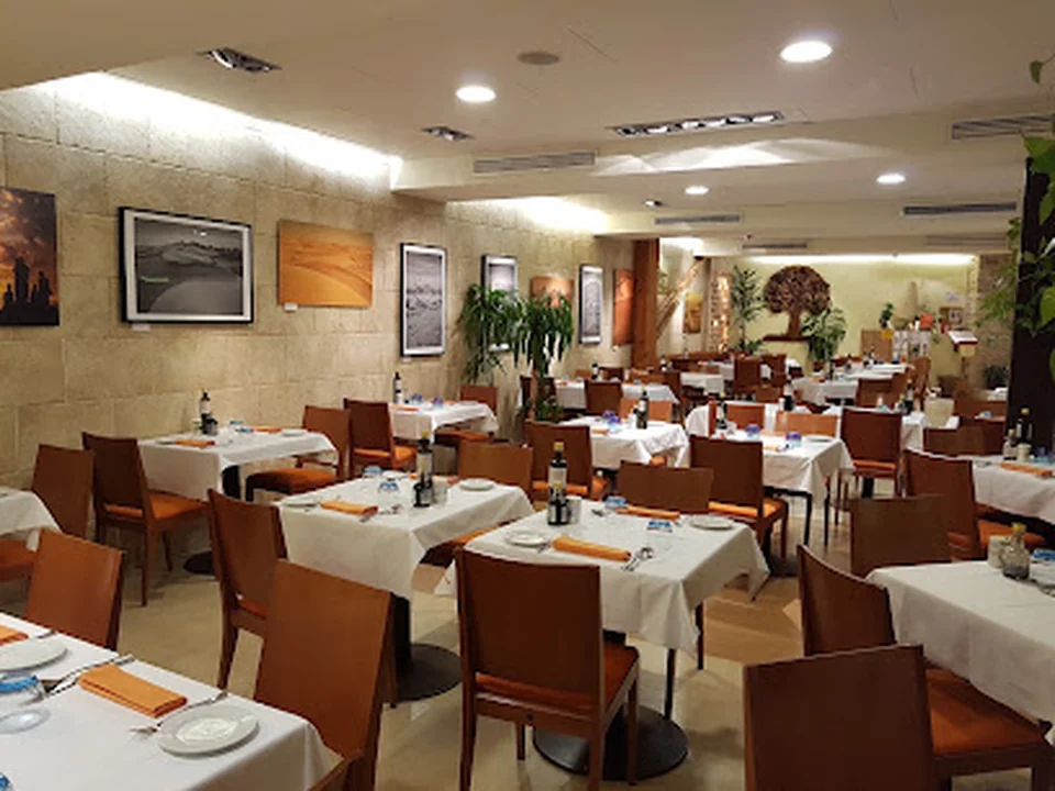 Restaurante Ecocentro | Bio Vegetariano, Madrid