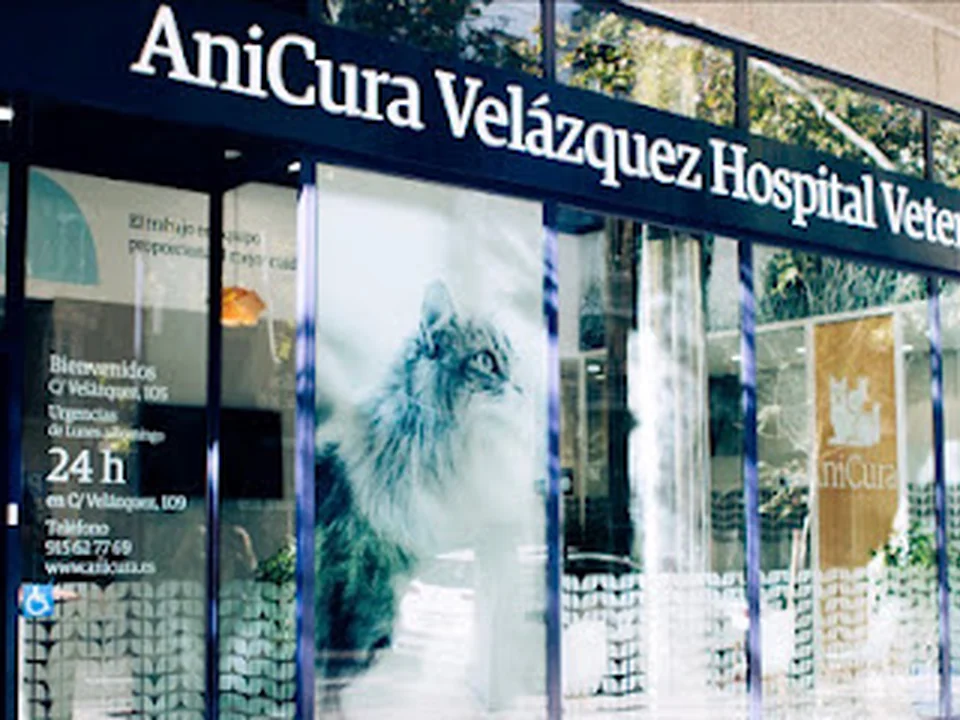 AniCura Velázquez Hospital Veterinario, Madrid